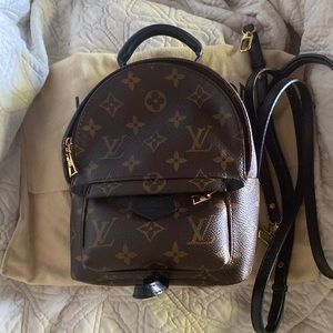 Louis Vuitton Palm Springs Mini Backpack